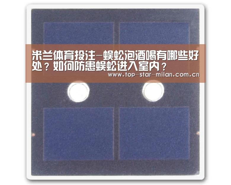 米兰体育投注-蜈蚣泡酒喝有哪些好处?如何防患蜈蚣进入室内?(图1) 米兰体育投注