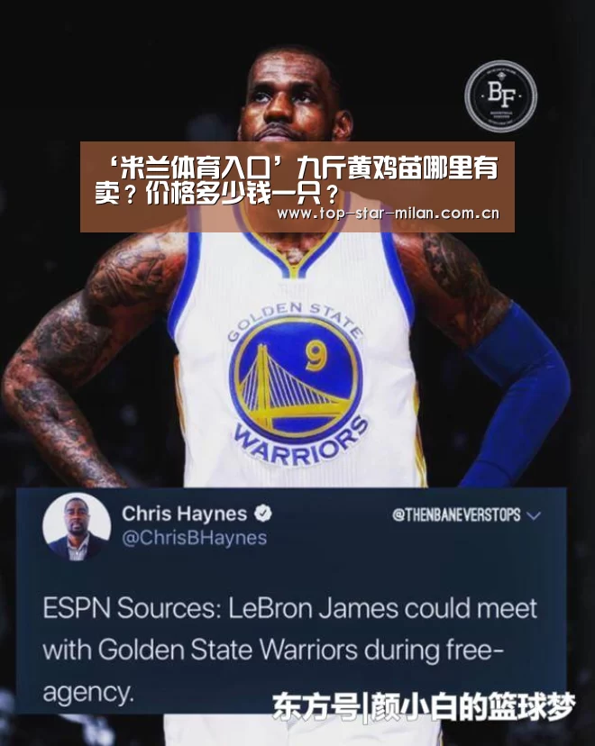 米兰体育投注