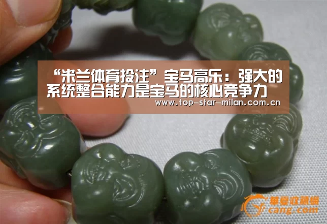 “米兰体育投注”宝马高乐:强大的系统整合能力是宝马的核心竞争力(图2) 米兰体育投注
